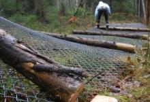 Деревянный забор: как сделать красивый, стильный и качественный забор